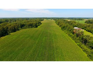 Property photo 12 - LAND AUCTION - 75.2+/- ACRES OFFERED IN 7 TRACTS IN ST. JOSEPH CO., INDIANA